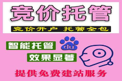 SEM推广公司案例：品牌知名度提升秘诀